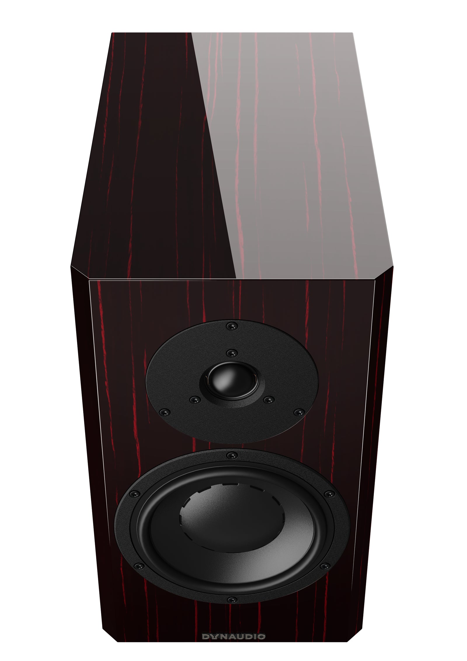 Dynaudio Special Forty