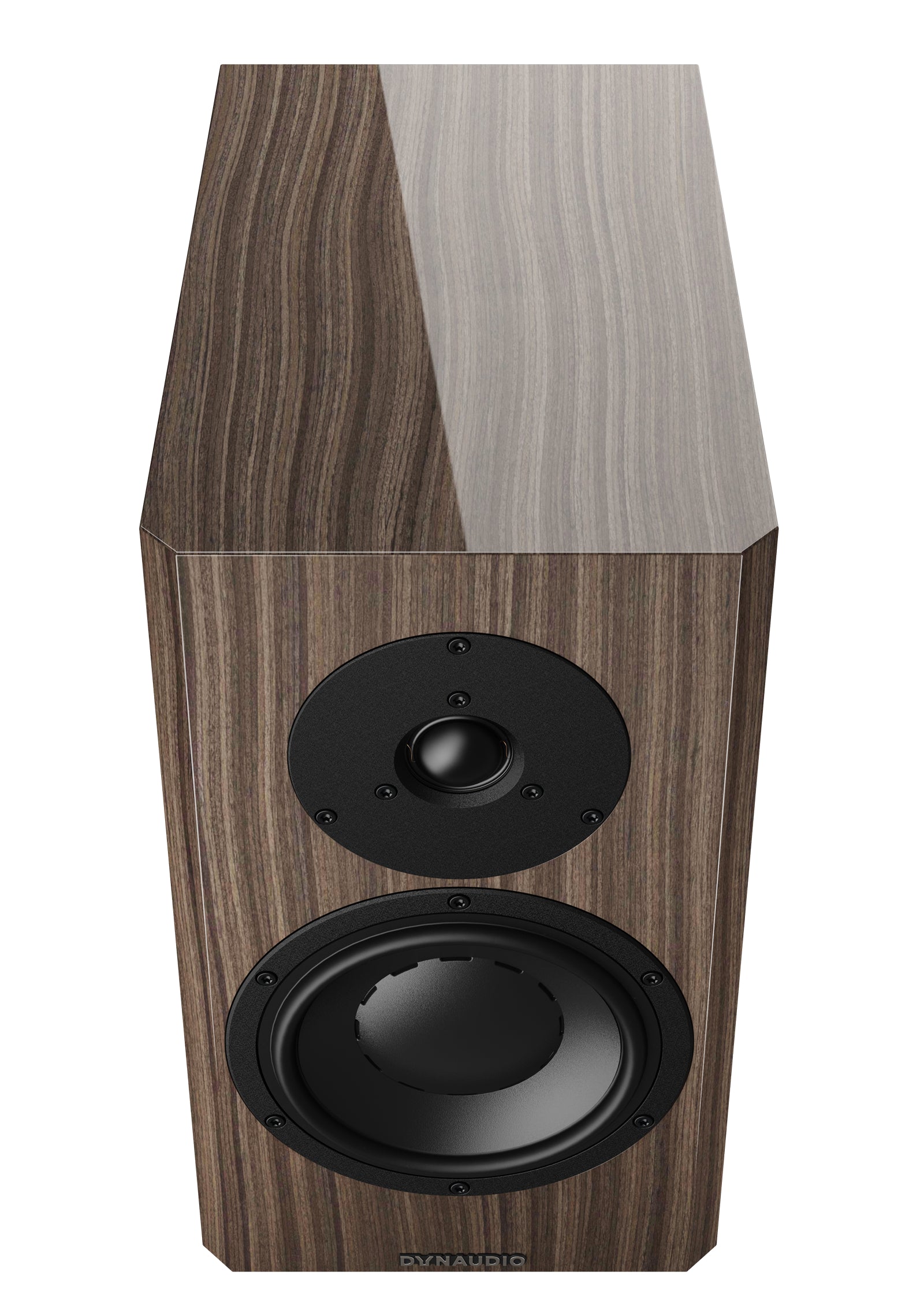 Dynaudio Special Forty