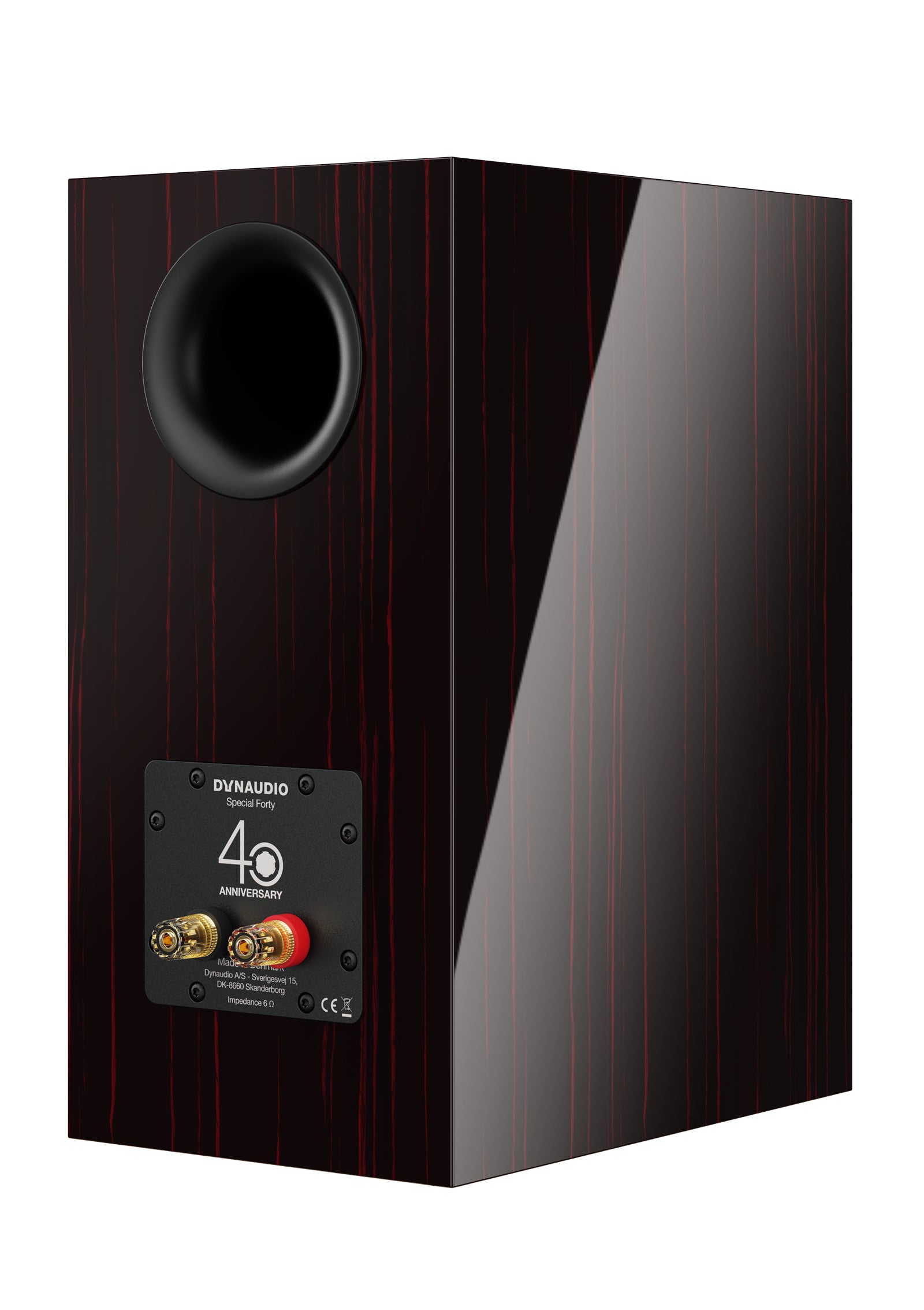 Dynaudio special forty store test