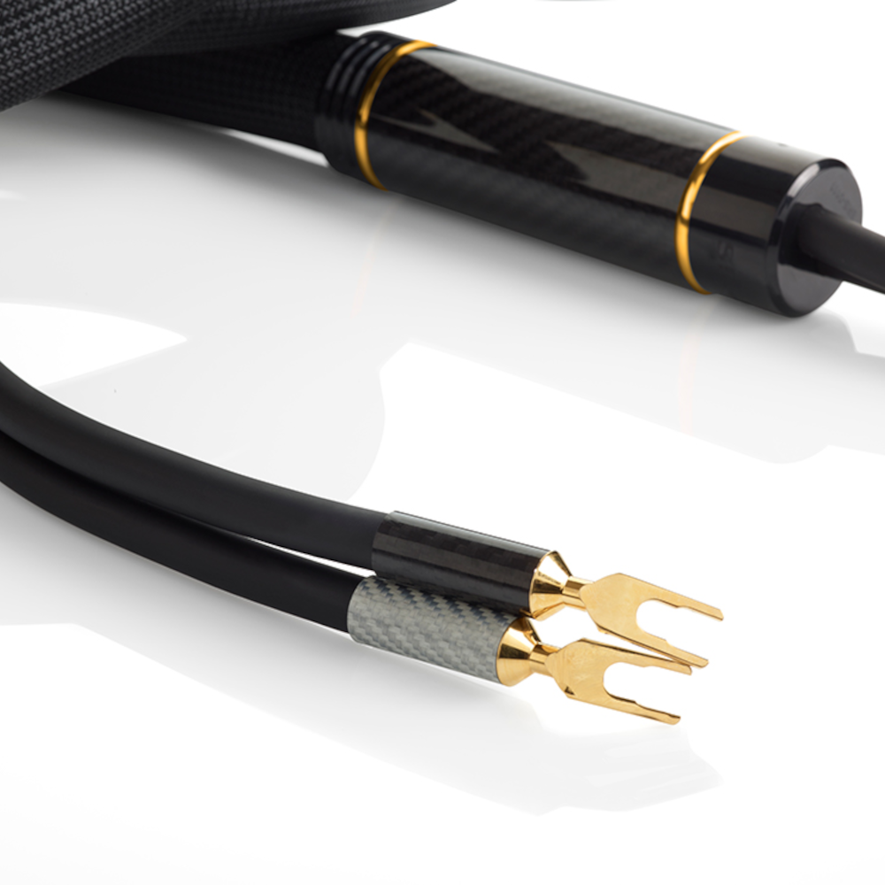 Shunyata Research Sigma v2 Speaker Cable Bi-Wire